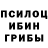 Галлюциногенные грибы GOLDEN TEACHER Akbar Abduraimov