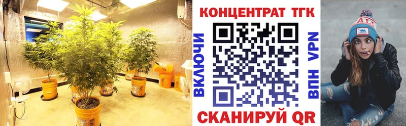 ТГК вейп  как найти   Красный Холм 