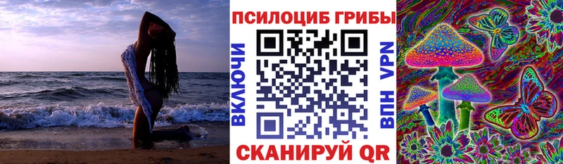 Псилоцибиновые грибы Cubensis  Красный Холм 